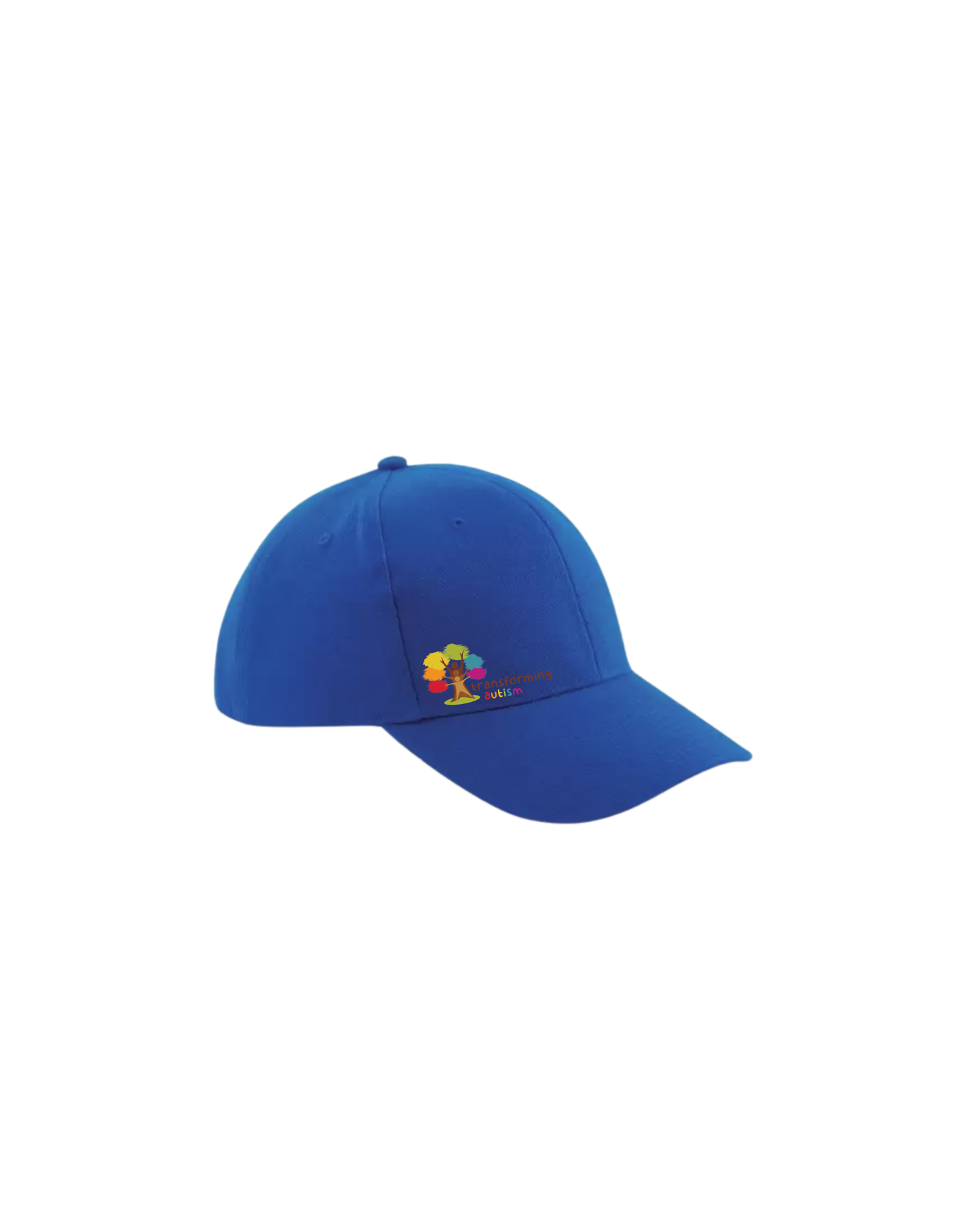 Transforming Autism - Baseball Cap